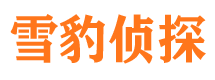 广宁捉小三公司